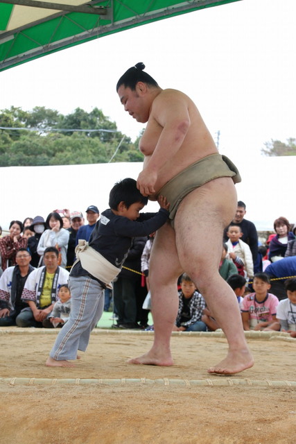 ちびっこ相撲・ちびっこふれあい相撲